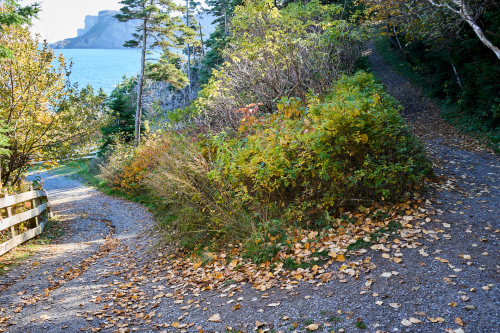 Eau,Plage,Cap Bon-ami,Milieu naturel,Forêt,Parc Forillon,Saison,Automne,Parc provincial,Jour,Temps